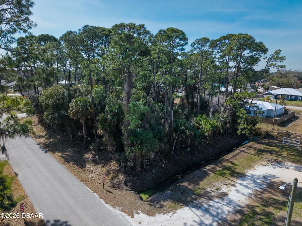 2904 India Palm Drive Edgewater, FL 32141