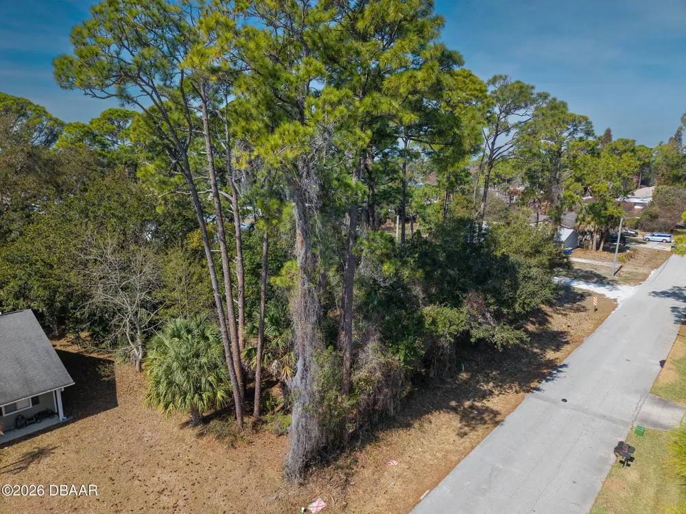 2904 India Palm Drive Edgewater, FL 32141