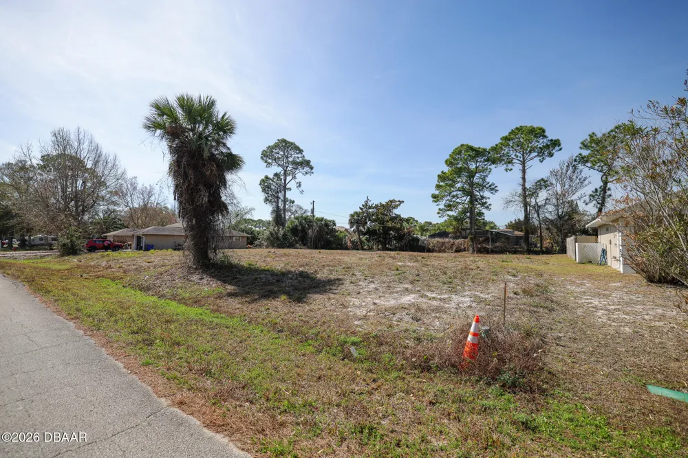 3128 India Palm Drive Edgewater, FL 32141
