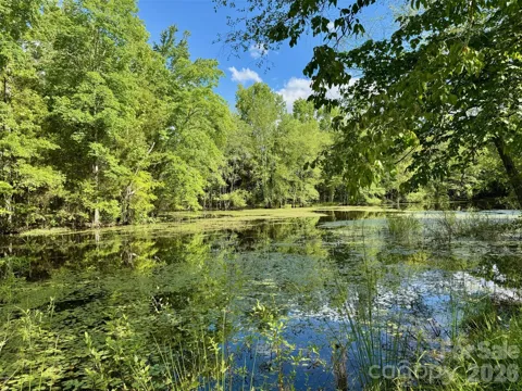 36299 Finger Road