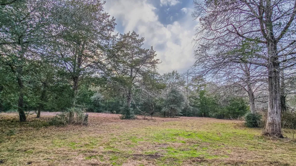 1042 Black Forest Ln Cat Spring, TX 78933