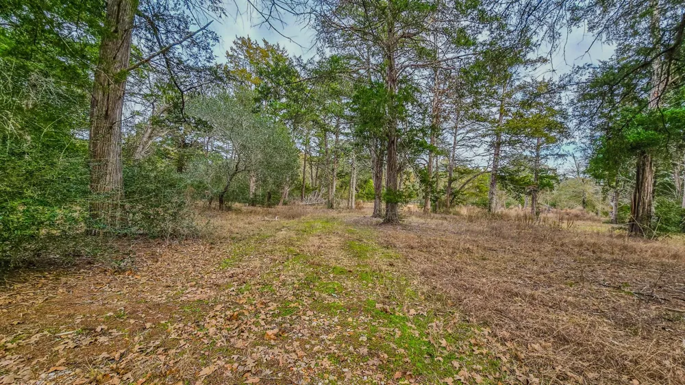 1042 Black Forest Ln Cat Spring, TX 78933