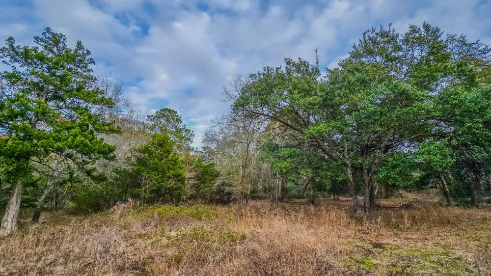 1042 Black Forest Ln Cat Spring, TX 78933