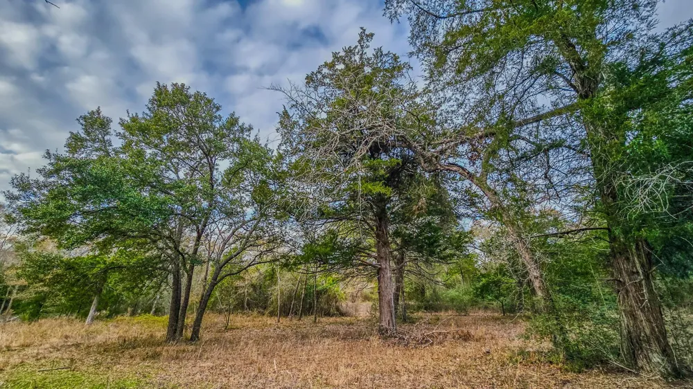 1042 Black Forest Ln Cat Spring, TX 78933