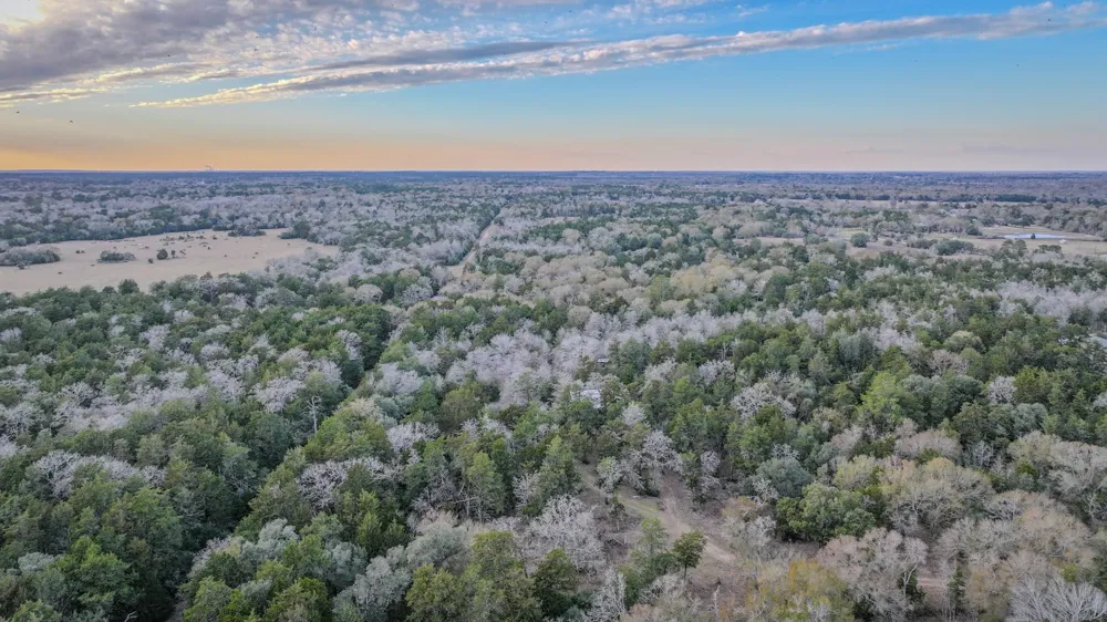 1042 Black Forest Ln Cat Spring, TX 78933