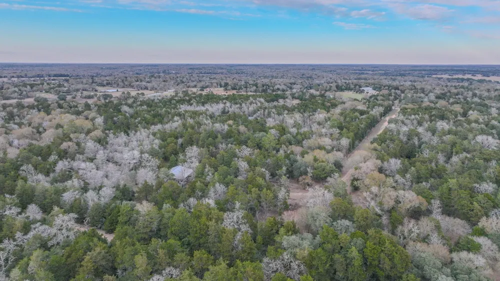 1042 Black Forest Ln Cat Spring, TX 78933