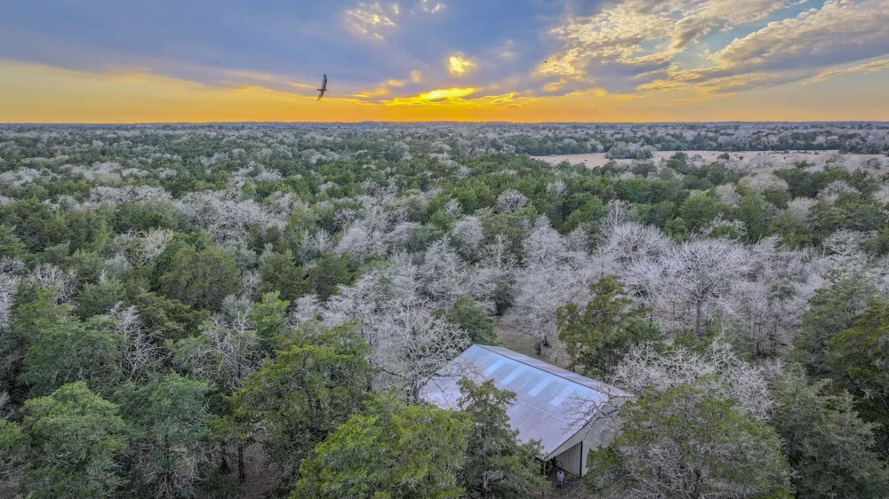 1042 Black Forest Ln Cat Spring, TX 78933