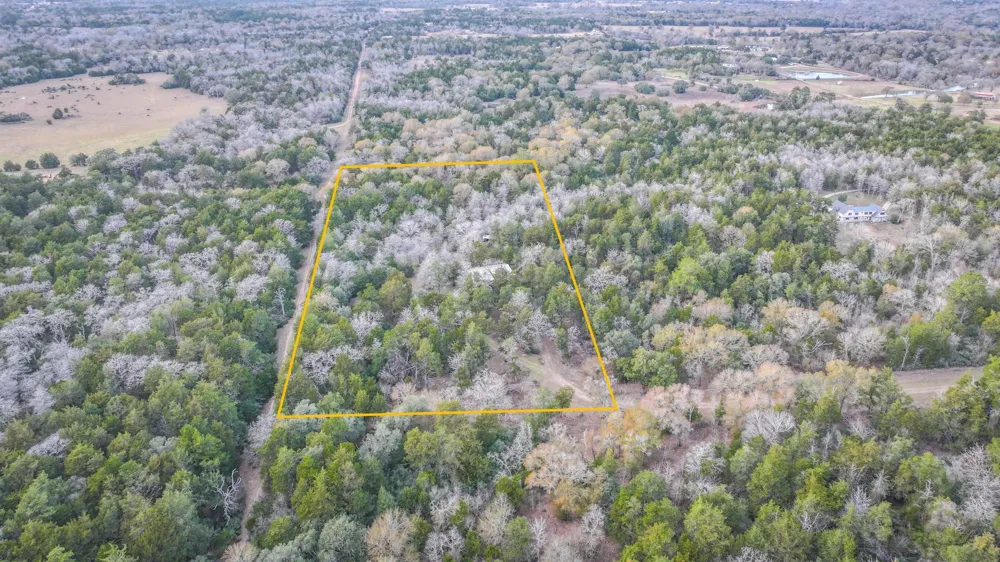 1042 Black Forest Ln Cat Spring, TX 78933