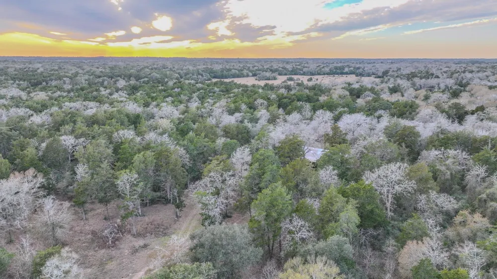 1042 Black Forest Ln Cat Spring, TX 78933