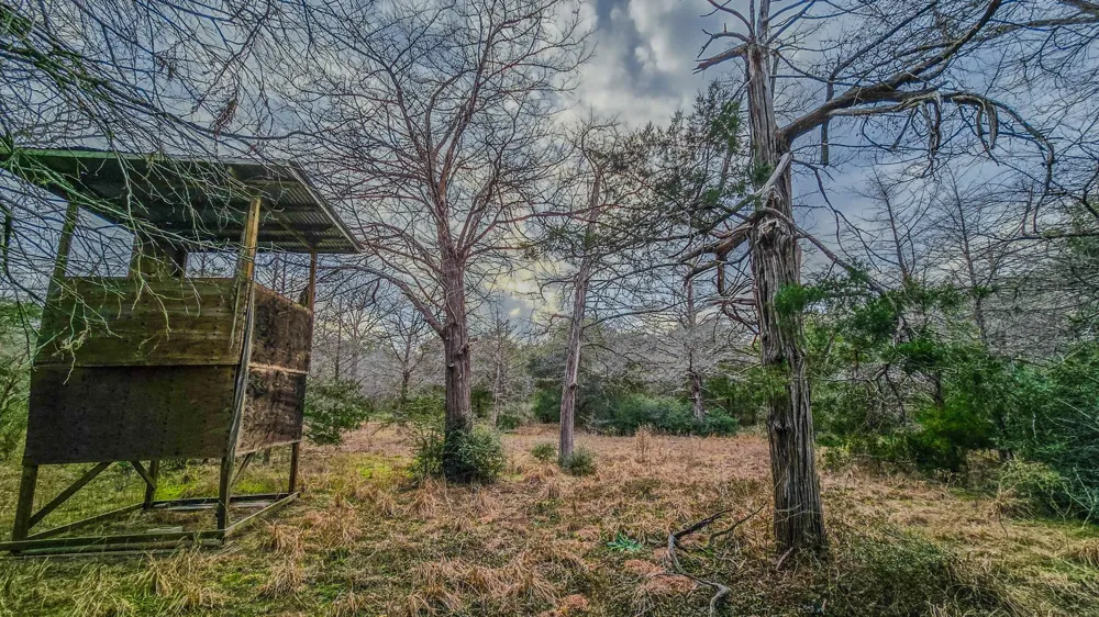 1042 Black Forest Ln Cat Spring, TX 78933