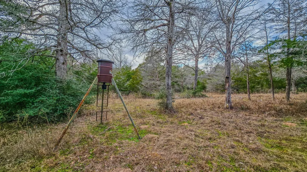 1042 Black Forest Ln Cat Spring, TX 78933