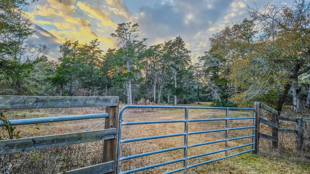 1042 Black Forest Ln Cat Spring, TX 78933