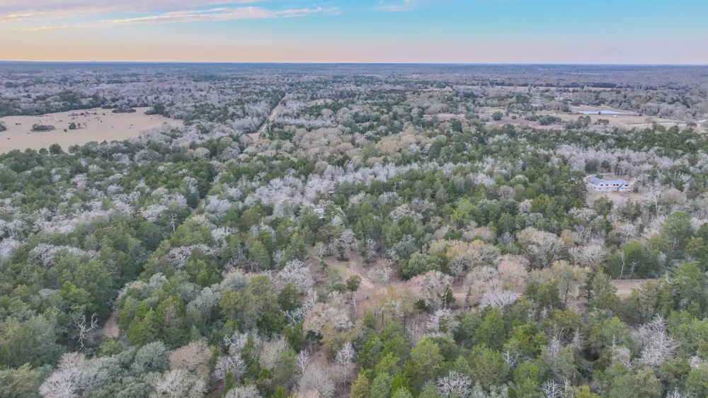 1042 Black Forest Ln Cat Spring, TX 78933