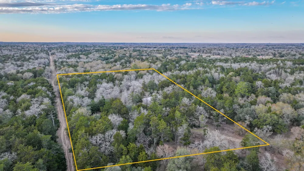 1042 Black Forest Ln Cat Spring, TX 78933