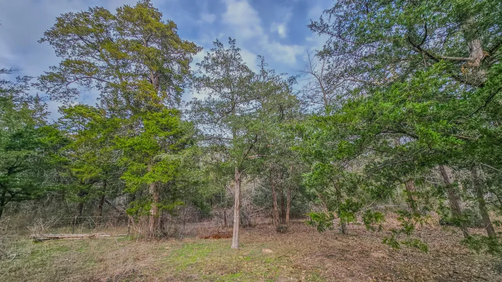 1042 Black Forest Ln Cat Spring, TX 78933