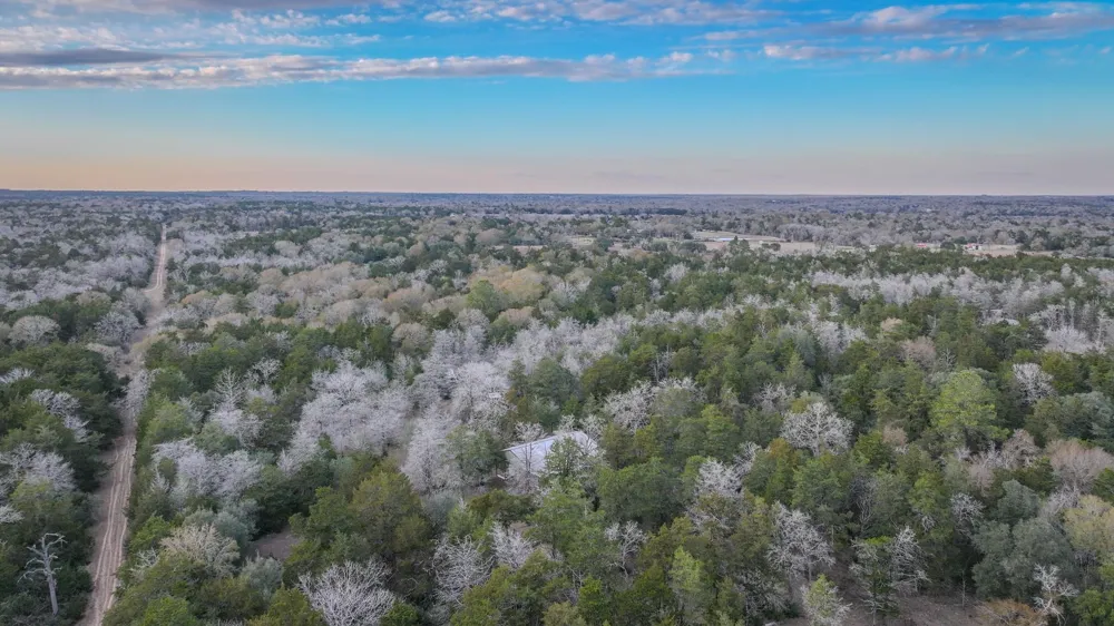 1042 Black Forest Ln Cat Spring, TX 78933