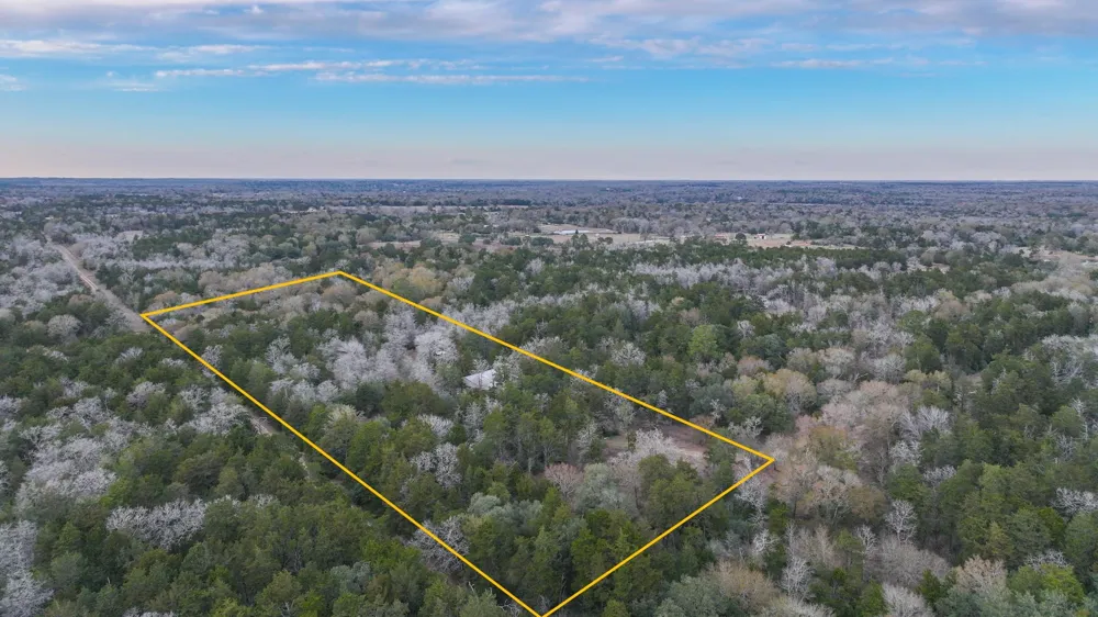 1042 Black Forest Ln Cat Spring, TX 78933