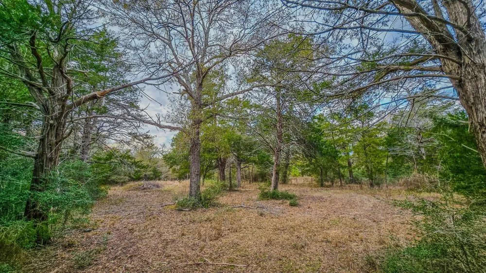 1042 Black Forest Ln Cat Spring, TX 78933