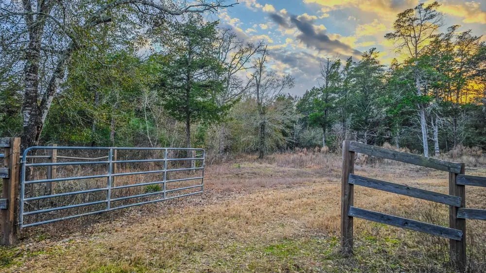 1042 Black Forest Ln Cat Spring, TX 78933