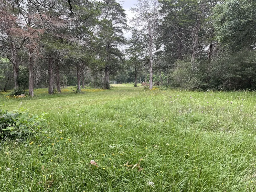 1042 Black Forest Ln Cat Spring, TX 78933