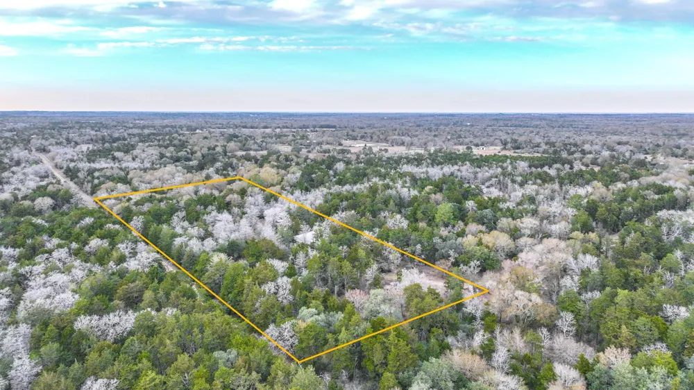 1042 Black Forest Ln Cat Spring, TX 78933