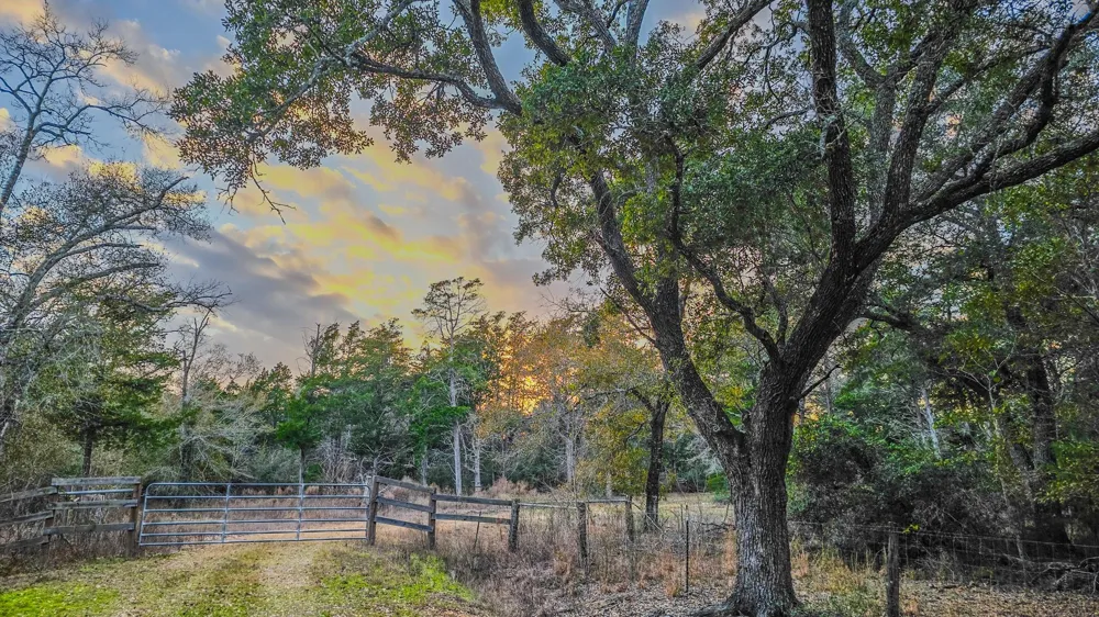 1042 Black Forest Ln Cat Spring, TX 78933