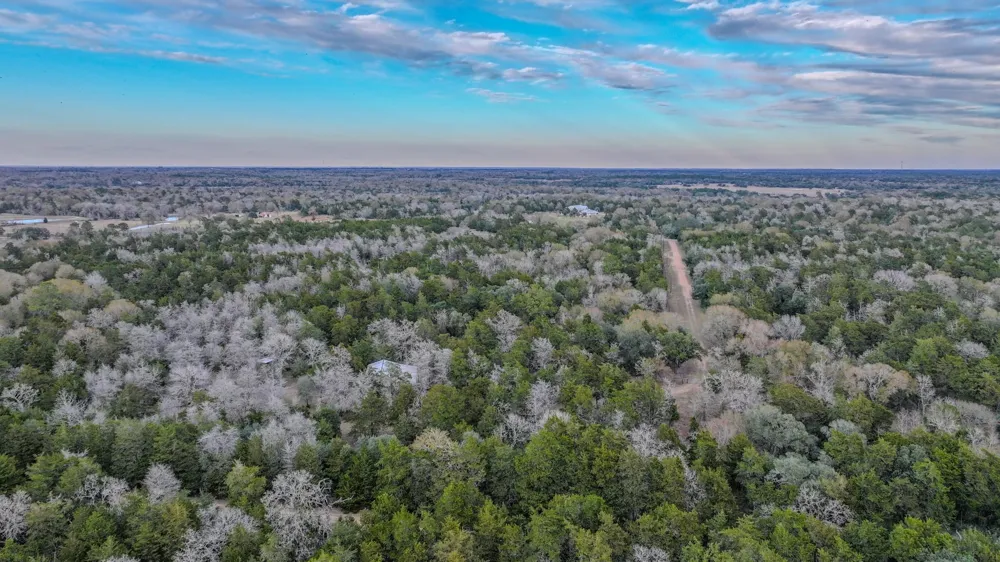 1042 Black Forest Ln Cat Spring, TX 78933