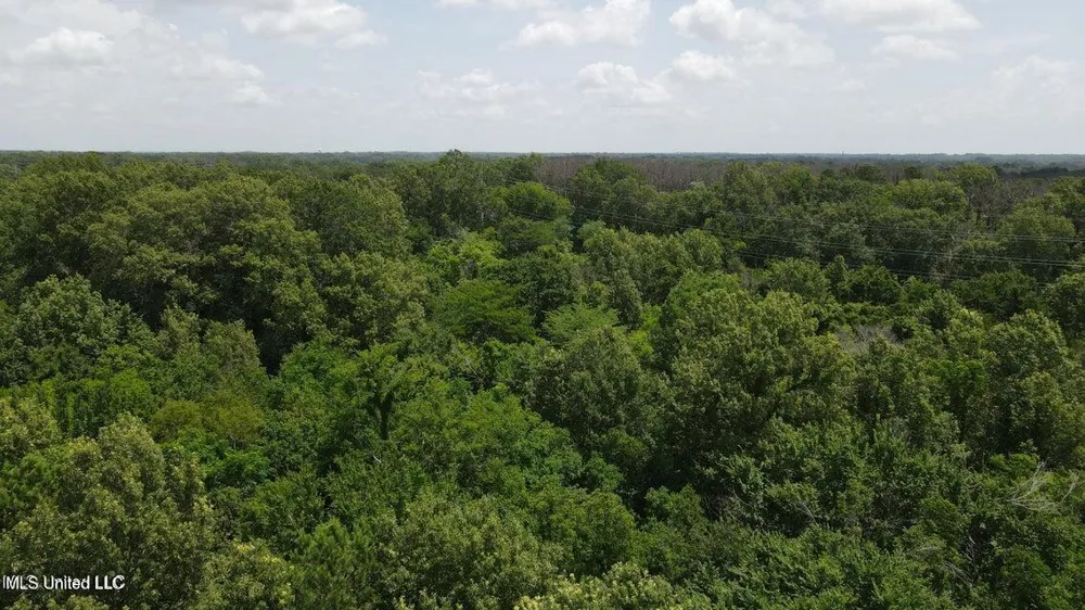 0000 Colony Park Blvd Ridgeland, MS 39157