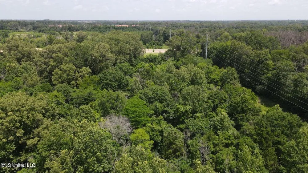 0000 Colony Park Blvd Ridgeland, MS 39157