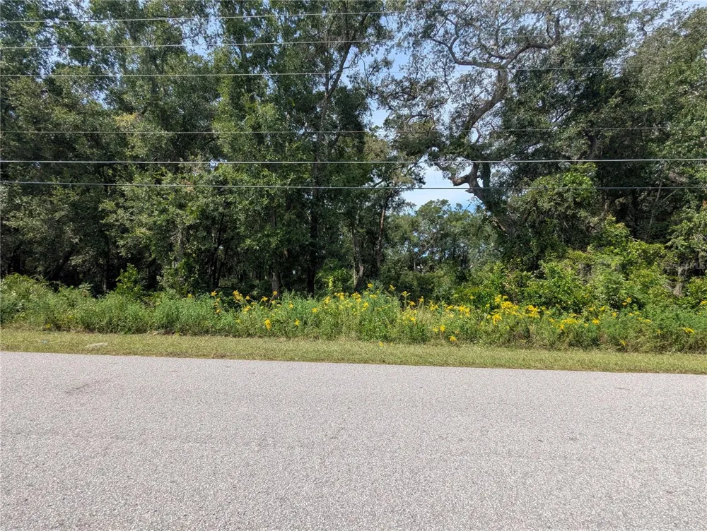 0 SE 99TH AVENUE Summerfield, FL 34491