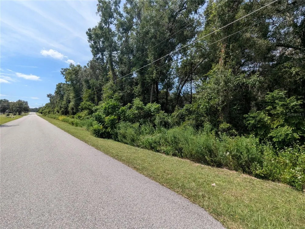 0 SE 99TH AVENUE Summerfield, FL 34491