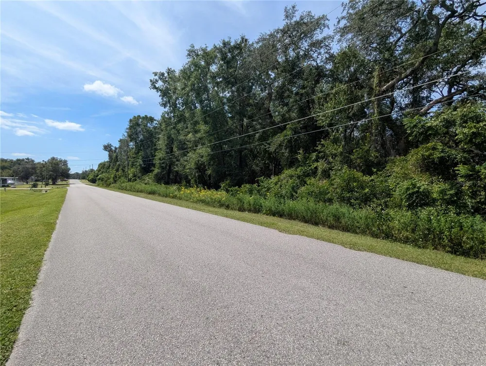 0 SE 99TH AVENUE Summerfield, FL 34491