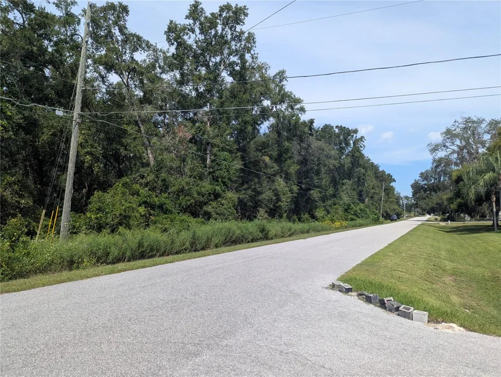 0 SE 99TH AVENUE Summerfield, FL 34491