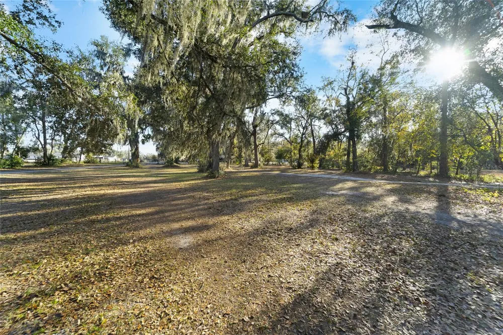 3007 OWLS NEST LANE Plant City, FL 33565