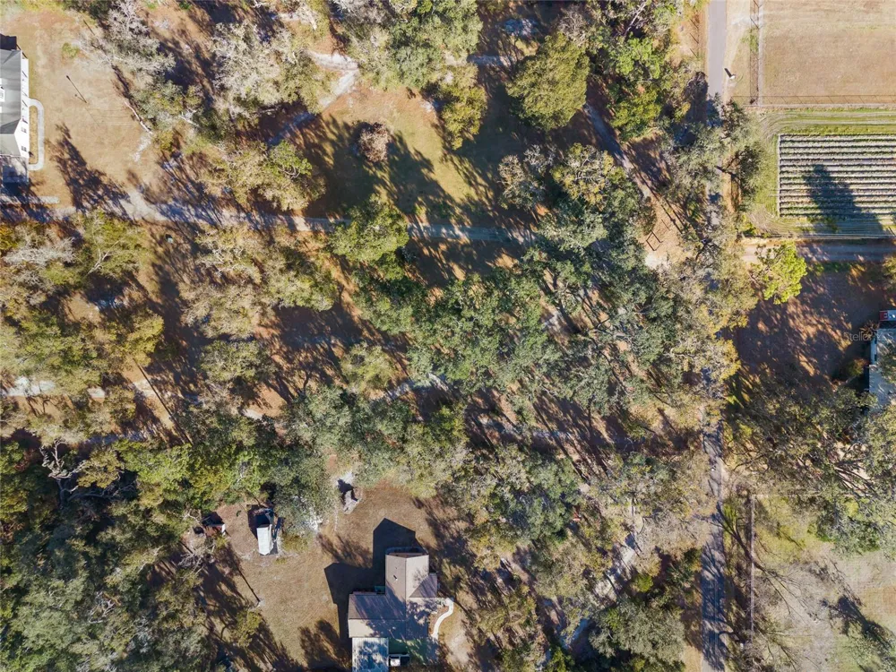 3007 OWLS NEST LANE Plant City, FL 33565