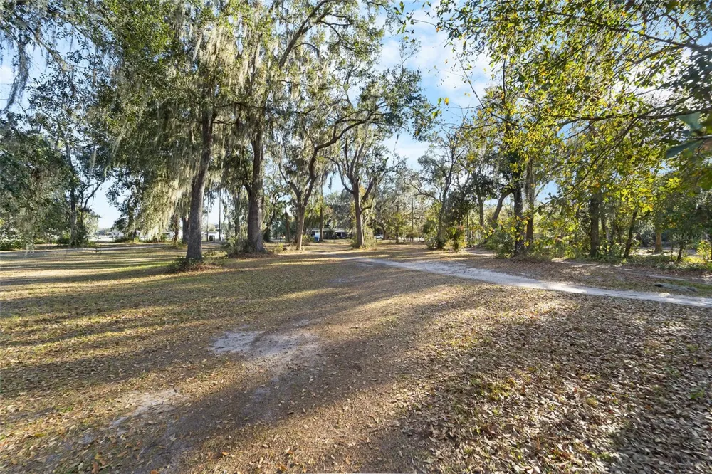 3007 OWLS NEST LANE Plant City, FL 33565
