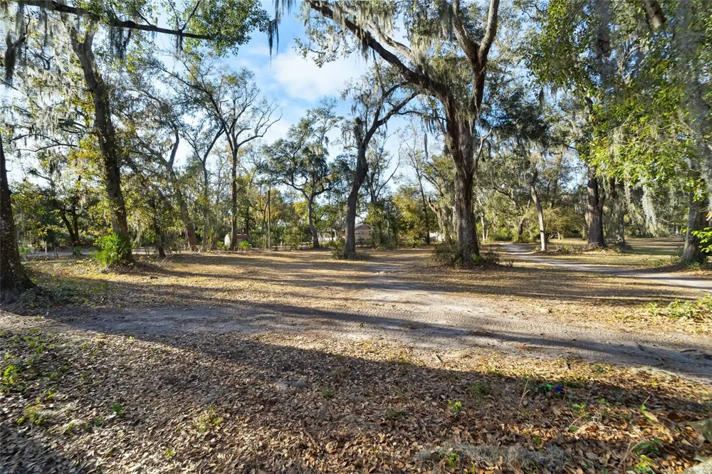 3007 OWLS NEST LANE Plant City, FL 33565