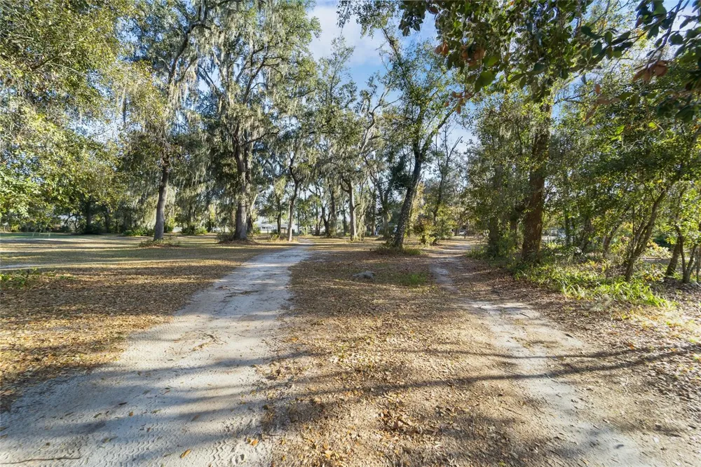 3007 OWLS NEST LANE Plant City, FL 33565