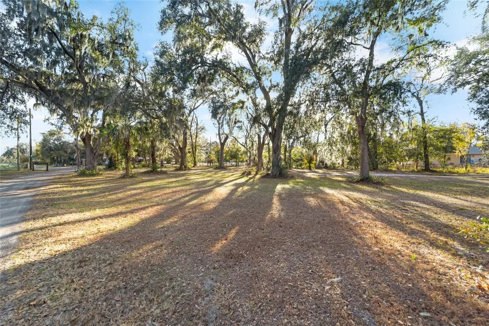 3007 OWLS NEST LANE Plant City, FL 33565