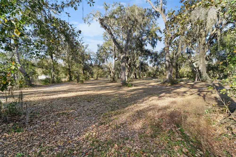 3007 OWLS NEST LANE Plant City, FL 33565