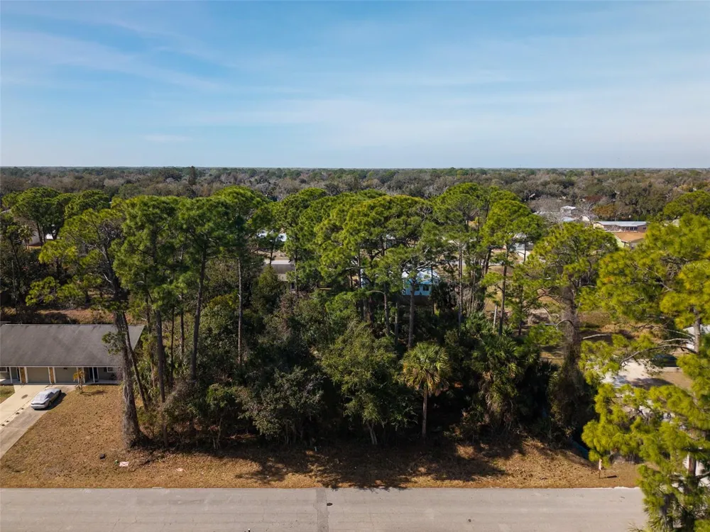 3128 INDIA PALM DRIVE Edgewater, FL 32141