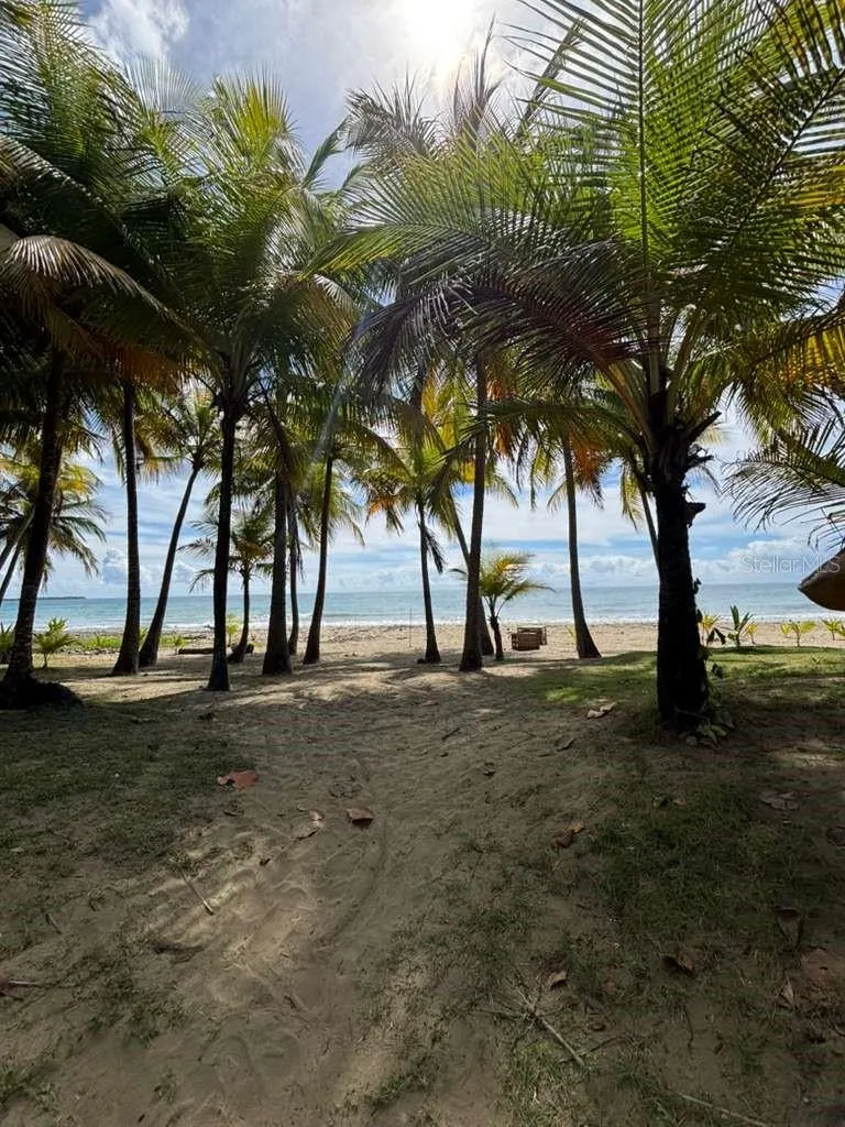 PH 1-A ARROYO BEACH RESORT #PH1-A Arroyo, PR 00714
