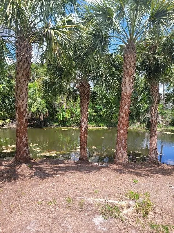 474 HINTON STREET Port Charlotte, FL 33954