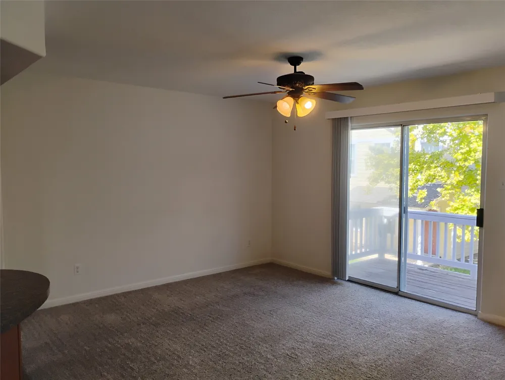 254 Trestle Tree San Marcos, TX 78666