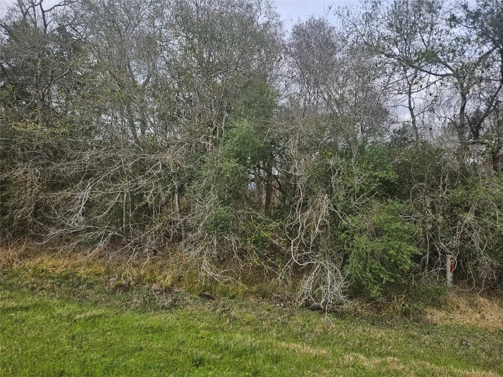 29929 Fm 1301 Road West Columbia, TX 77486