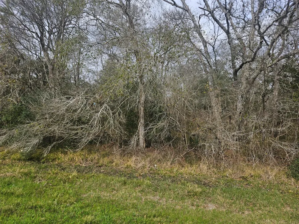 29929 Fm 1301 Road West Columbia, TX 77486