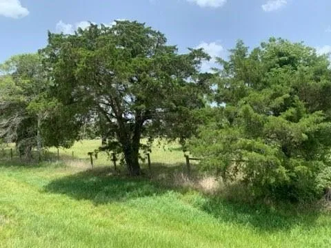 29929 Fm 1301 Road West Columbia, TX 77486