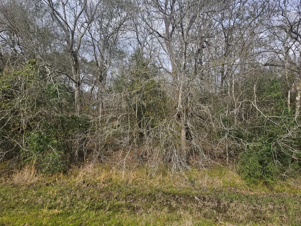 29929 Fm 1301 Road West Columbia, TX 77486