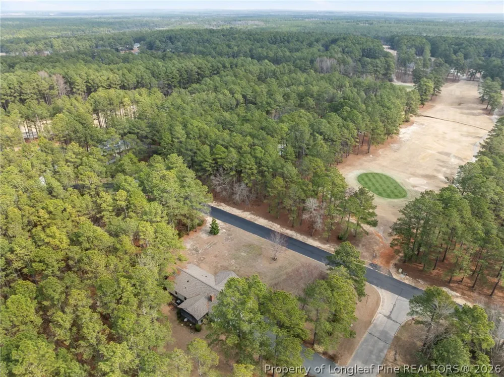 30080 Deercroft Drive Wagram, NC 28396