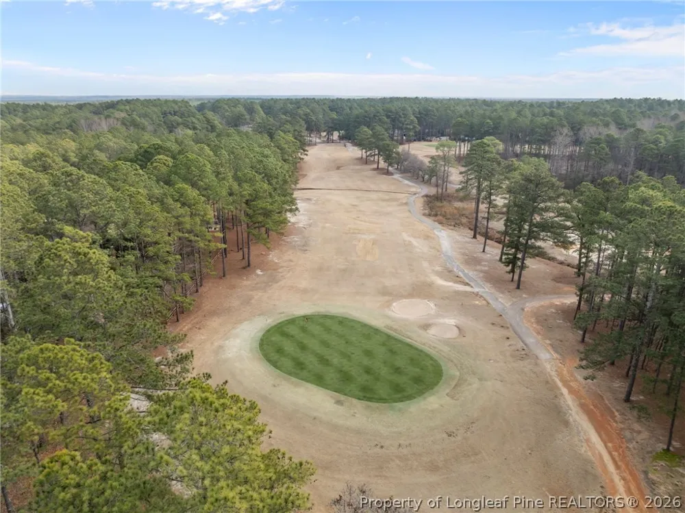 30080 Deercroft Drive Wagram, NC 28396